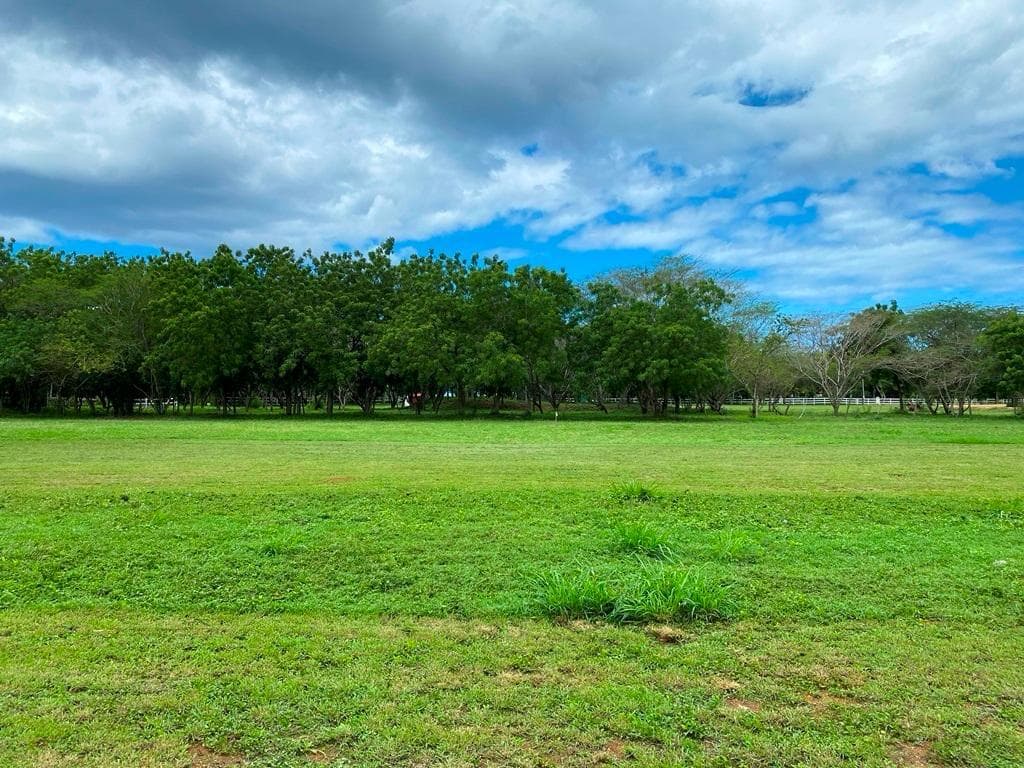 Luxury Residences: Terreno en Casa de Campo con Vista al Mar y Golf